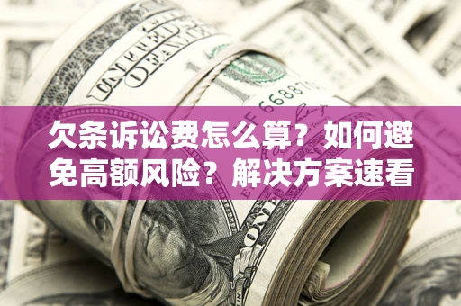 北京欠条诉讼费怎么算？如何避免高额风险？解决方案速看！