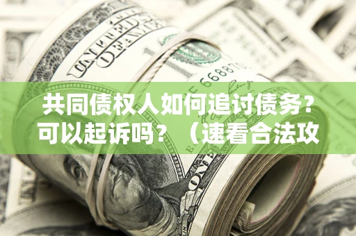 北京共同债权人如何追讨债务？可以起诉吗？（速看合法攻略）