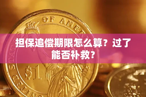 北京担保追偿期限怎么算？过了能否补救？